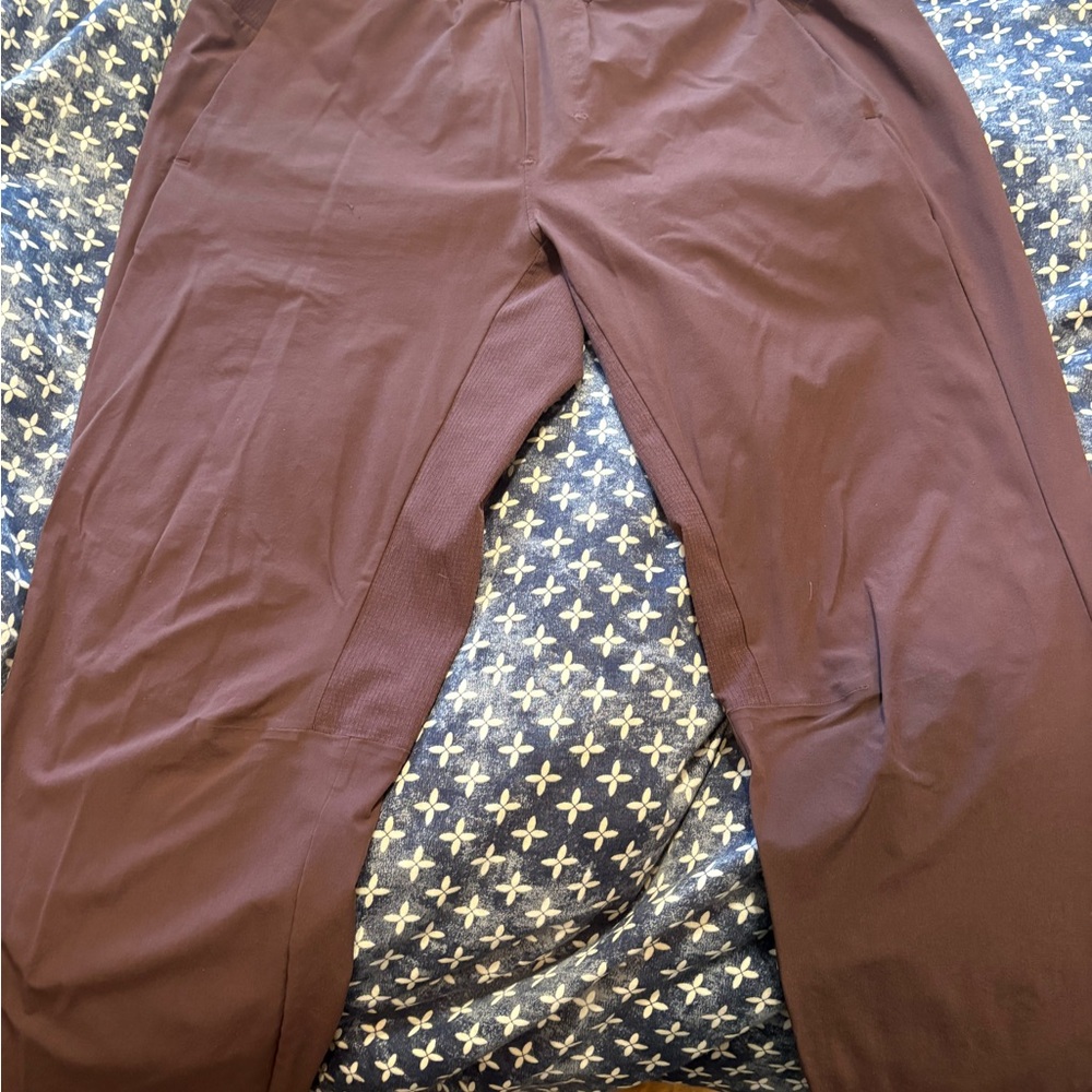 Men's Lululemon Plum Pants
